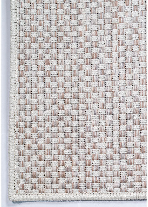 E1008