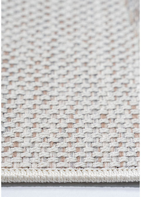 E1009