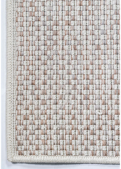 E1010
