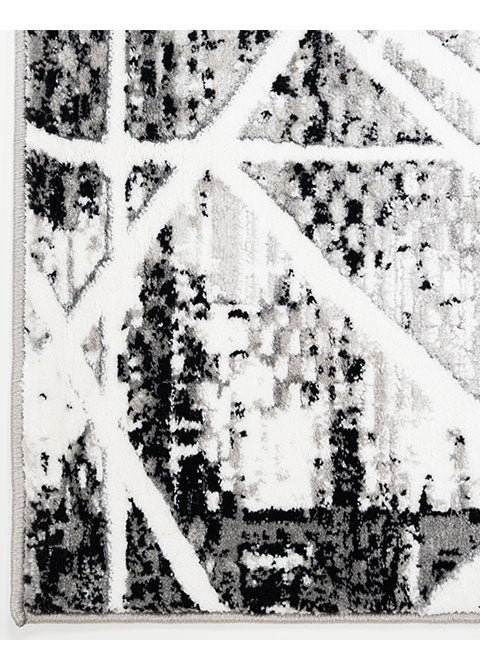 R1003