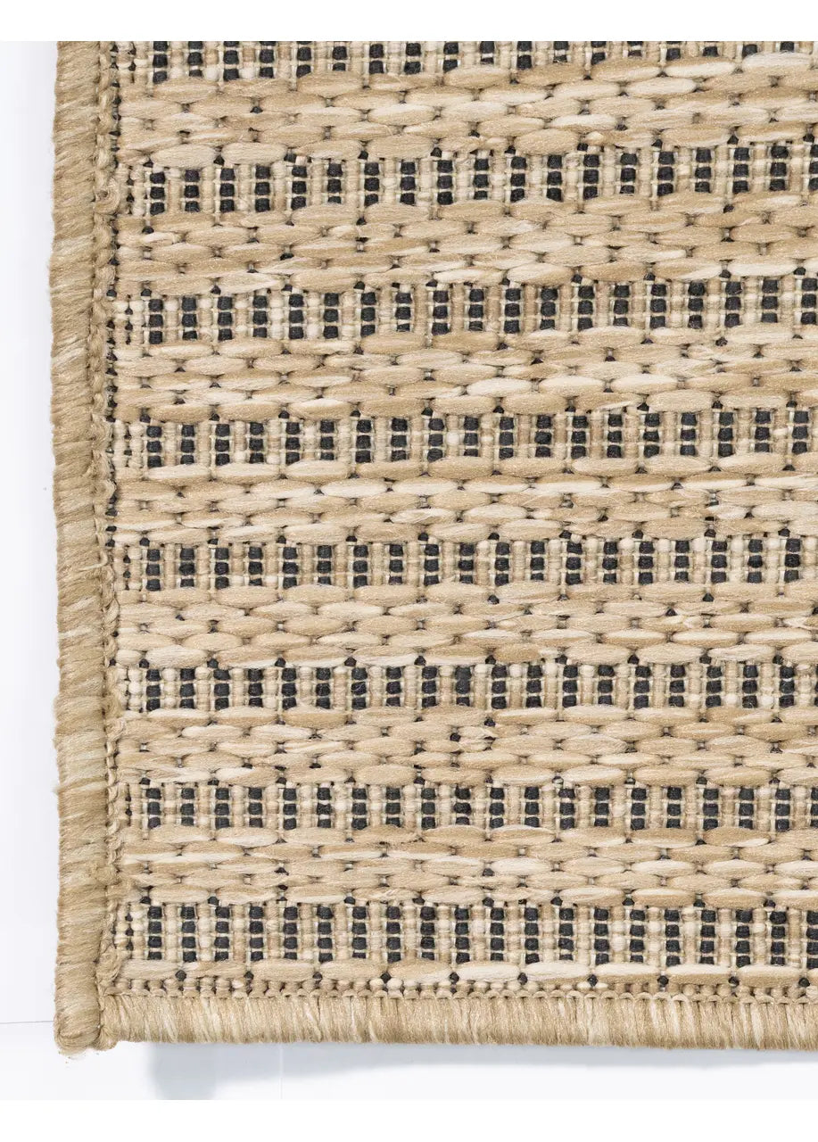 R3029